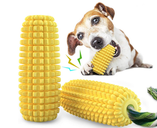 Dog Chew Toys for Aggressive Chewers